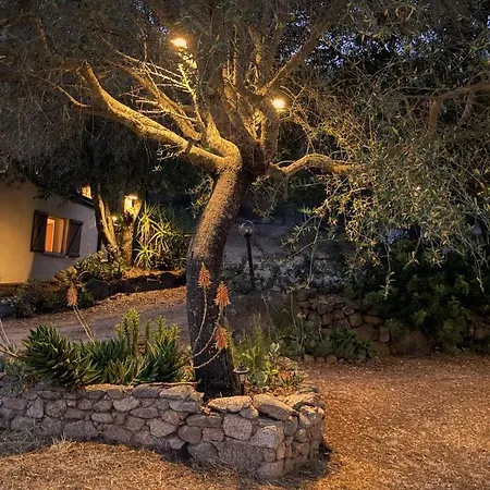 Casa Vittoriano Dreamy Sardinian Stazzo Bortigiadas