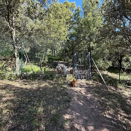 Casa Vittoriano Dreamy Sardinian Stazzo بيت للعطل Bortigiadas
